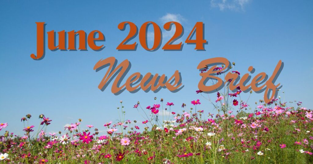 June 2024 News Brief for Landmark Abstract.  The orange text is place on a background of a blue sky and pink flowers.